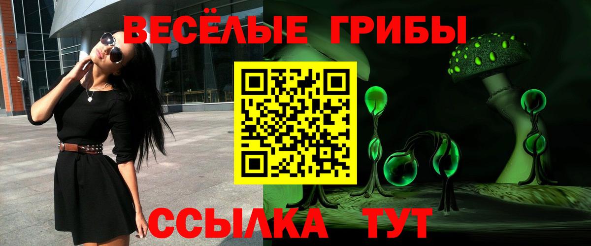 Нижний Тагил  Псилоцибиновые грибы Magic Shrooms  Вход с VPN 
